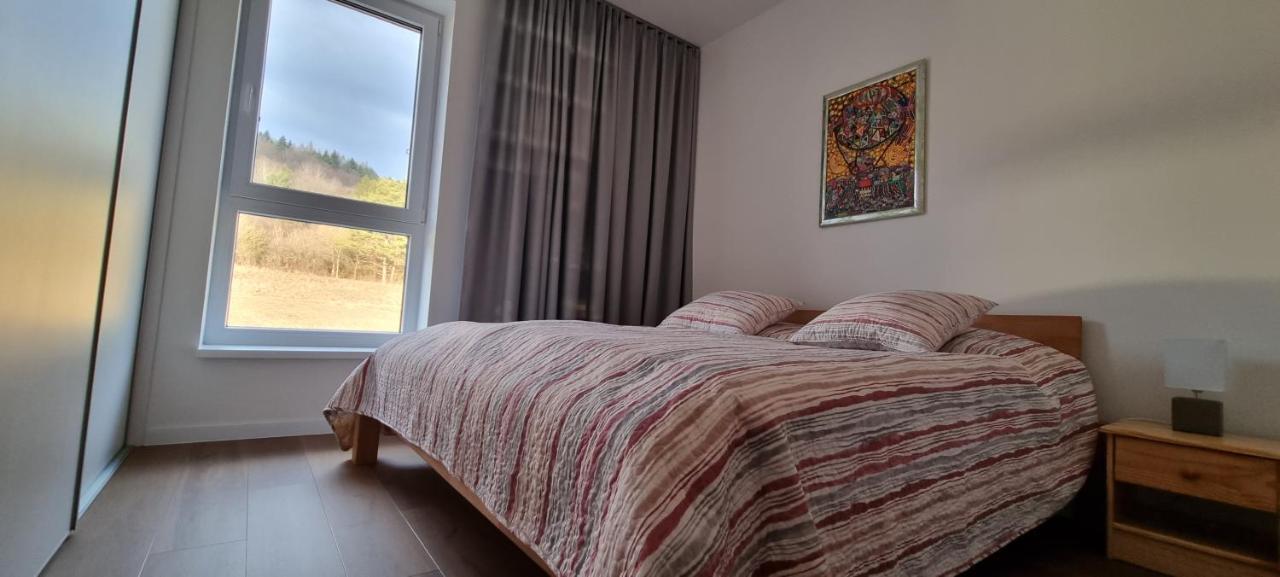 Penthouse Apartman Mineral B-4 Bardejovské Kúpele Zewnętrze zdjęcie
